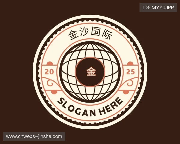 关于金沙国际公司